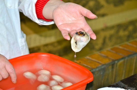 Shanghai Jiangnan Silk Museum